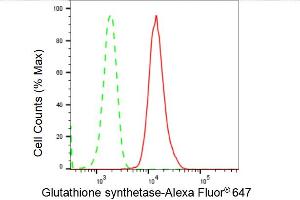 Flow cytometric analysis of Glutathione synthetase expression in HepG2 cells using Glutathione synthetase antibody (ABIN7798760), 1:2,000). (Recombinant Glutathione Synthetase 抗体)
