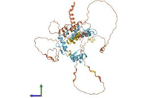 Protein Structure (PS) image for B-Cell CLL/lymphoma 6, Member B (BCL6B) (AA 1-479) protein (His tag) (ABIN7552663)