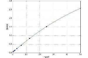 Angiomotin (AMOT) ELISA Kit