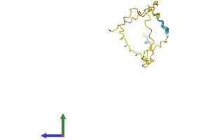 Protein Structure (PS) image for Age-Related Maculopathy Susceptibility 2 (ARMS2) (AA 1-107) protein (His tag) (ABIN7552388)