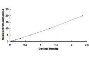 Typical Standard Curve (Ezrin ELISA 试剂盒)