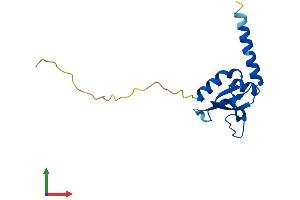 AlphaFold protein structure predicition of Human Recombinant GSKIP Protein, UniprotID Q9P0R6