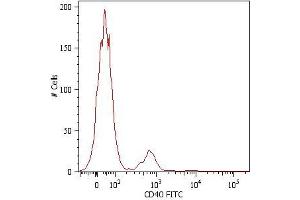 Surface staining of human peripheral blood cells with anti-human CD40 (HI40a) FITC. (CD40 抗体  (PE))