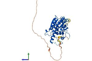 AlphaFold protein structure predicition of Mouse Recombinant Pgam5 Protein, UniprotID Q8BX10