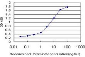 Detection limit for recombinant GST tagged NOLC1 is approximately 0. (NOLC1 抗体  (AA 590-699))
