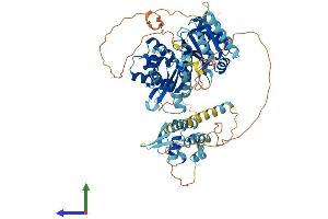 AlphaFold protein structure predicition of Human Recombinant ZSWIM3 Protein, UniprotID Q96MP5