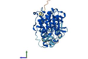Protein Structure (PS) image for Mitogen-Activated Protein Kinase 11 (MAPK11) (AA 1-364) protein (His tag) (ABIN7565220)