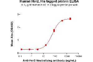 ELISA image for Receptor tyrosine-protein kinase erbB-2 (ErbB2/Her2) (AA 23-652) protein (His tag) (ABIN6964074)