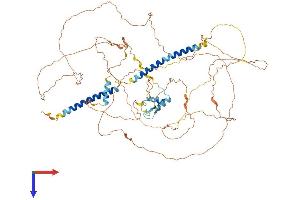 DACT2 Protein (AA 1-757) (His tag)