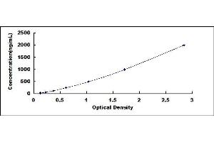 Typical standard curve (FGG ELISA 试剂盒)