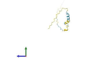 Protein Structure (PS) image for Protein Kinase (CAMP-Dependent, Catalytic) Inhibitor beta (PKIB) (AA 1-92) protein (Fc Tag) (ABIN7556886)