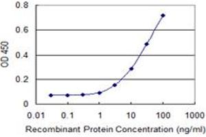 Detection limit for recombinant GST tagged MAPK13 is 1 ng/ml as a capture antibody. (MAPK13 抗体  (AA 1-365))