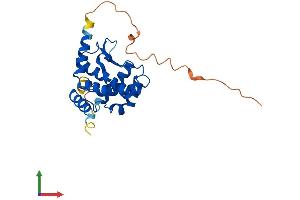 Protein Structure (PS) image for XRCC6 Binding Protein 1 (XRCC6BP1) (AA 1-246) protein (His tag) (ABIN7552445)