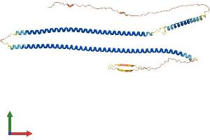 Protein Structure (PS) image for Keratin 25 (KRT25) (AA 1-450) protein (His tag) (ABIN7548699)