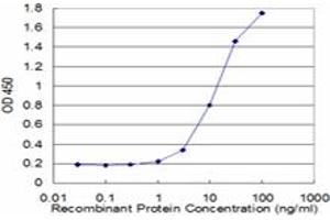 Detection limit for recombinant GST tagged MAGED1 is approximately 1ng/ml as a capture antibody. (MAGED1 抗体  (AA 117-226))