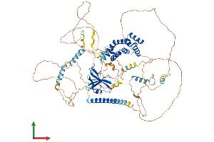 Protein Structure (PS) image for Axin 2 (AXIN2) (AA 1-843) protein (His tag) (ABIN7552625)