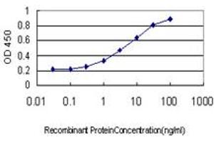 Detection limit for recombinant GST tagged FOXA2 is approximately 0. (FOXA2 抗体  (AA 363-457))