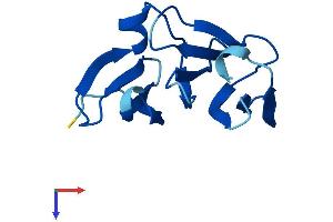 AlphaFold protein structure predicition of Human Recombinant NHLRC4 Protein, UniprotID P0CG21