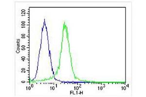 Overlay histogram showing Hela cells stained with (ABIN655391 and ABIN2844939) (green line). (KDM4C 抗体  (C-Term))