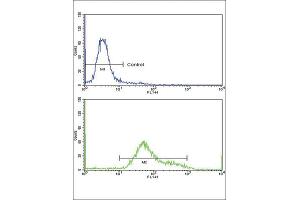 Flow Cytometry (FACS) image for anti-Guanine Monophosphate Synthetase (GMPS) antibody (ABIN3001740) (GMP Synthase 抗体)