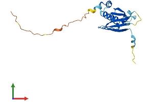 Protein Structure (PS) image for tRNA Splicing Endonuclease 15 Homolog (TSEN15) (AA 1-168) protein (His tag) (ABIN7559749)