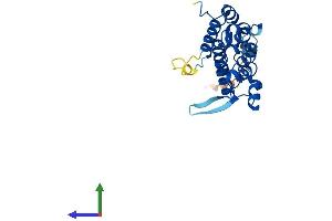Protein Structure (PS) image for PARK2 Co-Regulated (PACRG) (AA 1-241) protein (His tag) (ABIN7561224)