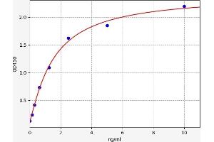ELISA image for Cytochrome P450, Family 1, Subfamily A, Polypeptide 2 (CYP1A2) ELISA Kit (ABIN6971283)