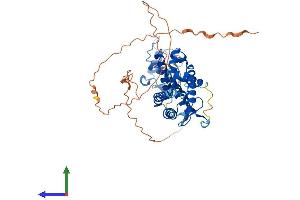 Protein Structure (PS) image for Hepatocyte Nuclear Factor 4, alpha (HNF4A) (AA 1-474) protein (His tag) (ABIN7563345)