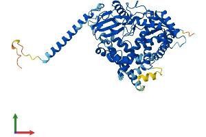 Protein Structure (PS) image for Cytochrome P450, Family 4, Subfamily F, Polypeptide 12 (CYP4F12) (AA 1-524) protein (His tag) (ABIN7546691)