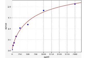 Typical standard curve (BTB Domain a and CNC Homolog 2 ELISA 试剂盒)