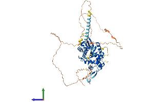 Protein Structure (PS) image for Crossover junction endonuclease EME1 (EME1) (AA 1-570) protein (His tag) (ABIN7547313)