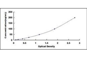 Typical standard curve (GSTM3 ELISA 试剂盒)