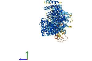 Protein Structure (PS) image for Mediator Complex Subunit 24 (MED24) (AA 1-987) protein (His tag) (ABIN7564884)