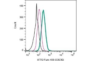 Cell surface detection of 5-Hydroxytryptamine receptor 2B by direct flow cytometry in live intact human  monocytic leukemia cell line: + Rabbit IgG Isotype Control-ATTO Fluro-488 (ABIN7582041). (Serotonin Receptor 2B 抗体  (Extracellular) (Atto 488))