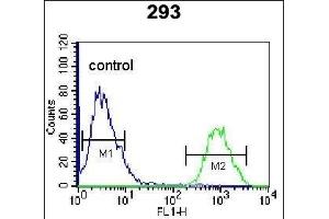 HOPX Antibody (C-term) (ABIN655402 and ABIN2844948) flow cytometric analysis of 293 cells (right histogram) compared to a negative control cell (left histogram). (HOPX 抗体  (C-Term))