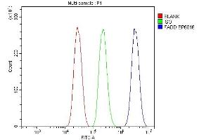 Flow Cytometry analysis of HEPA1-6 cells using anti-FADD antibody (ABIN7602804). (FADD 抗体  (C-Term))
