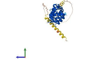 AlphaFold protein structure predicition of Mouse Recombinant Dcun1d4 Protein, UniprotID Q8CCA0