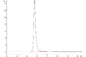 The purity of Human FGFR4 is greater than 95 % as determined by SEC-HPLC. (FGFR4 Protein (AA 22-369) (Fc Tag))