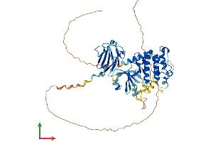 Protein Structure (PS) image for Checkpoint Kinase 2 (CHEK2) (AA 1-546) protein (His tag) (ABIN7565289)