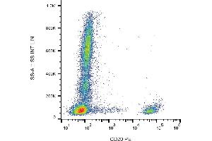 Flow cytometry analysis (surface staining) of human peripheral blood with anti-CD20 (2H7) PE. (CD20 抗体  (PE))