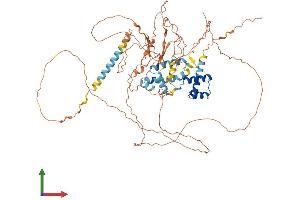 Protein Structure (PS) image for POU Class 6 Homeobox 2 (POU6F2) (AA 1-691) protein (His tag) (ABIN7558700)