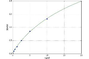 Transglutaminase 3 (E Polypeptide, Protein-Glutamine-gamma-Glutamyltransferase) (TGM3) ELISA Kit