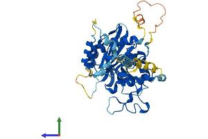 Protein Structure (PS) image for UDP-Gal:betaGlcNAc beta 1,3-Galactosyltransferase, Polypeptide 4 (B3GALT4) (AA 1-378) protein (His tag) (ABIN7552597)