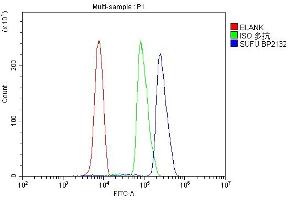 Flow Cytometry analysis of U937 cells using anti-SUFU antibody (ABIN7601394).