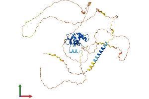 Protein Structure (PS) image for Ets Variant 1 (ETV1) (AA 1-477) protein (His tag) (ABIN7563227)