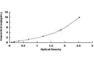 Typical standard curve (MITF ELISA 试剂盒)