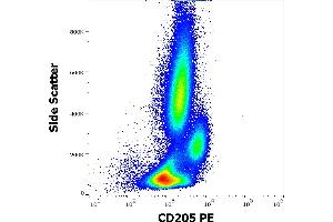 Flow cytometry surface staining pattern of human peripheral whole blood stained using anti-human CD205 (HD30) PE antibody (10 μL reagent / 100 μL of peripheral whole blood). (LY75/DEC-205 抗体  (PE))