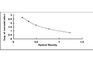 Typical standard curve (Big Dynorphin ELISA 试剂盒)