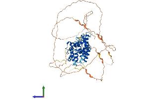 AlphaFold protein structure predicition of Human Recombinant NR4A3 Protein, UniprotID Q92570