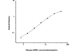 Typical standard curve (Lactate Dehydrogenase A ELISA 试剂盒)